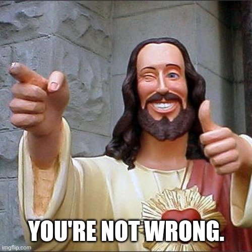 Buddy Christ Meme | YOU'RE NOT WRONG. | image tagged in memes,buddy christ | made w/ Imgflip meme maker