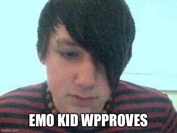 emo kid | EMO KID APPROVES | image tagged in emo kid | made w/ Imgflip meme maker