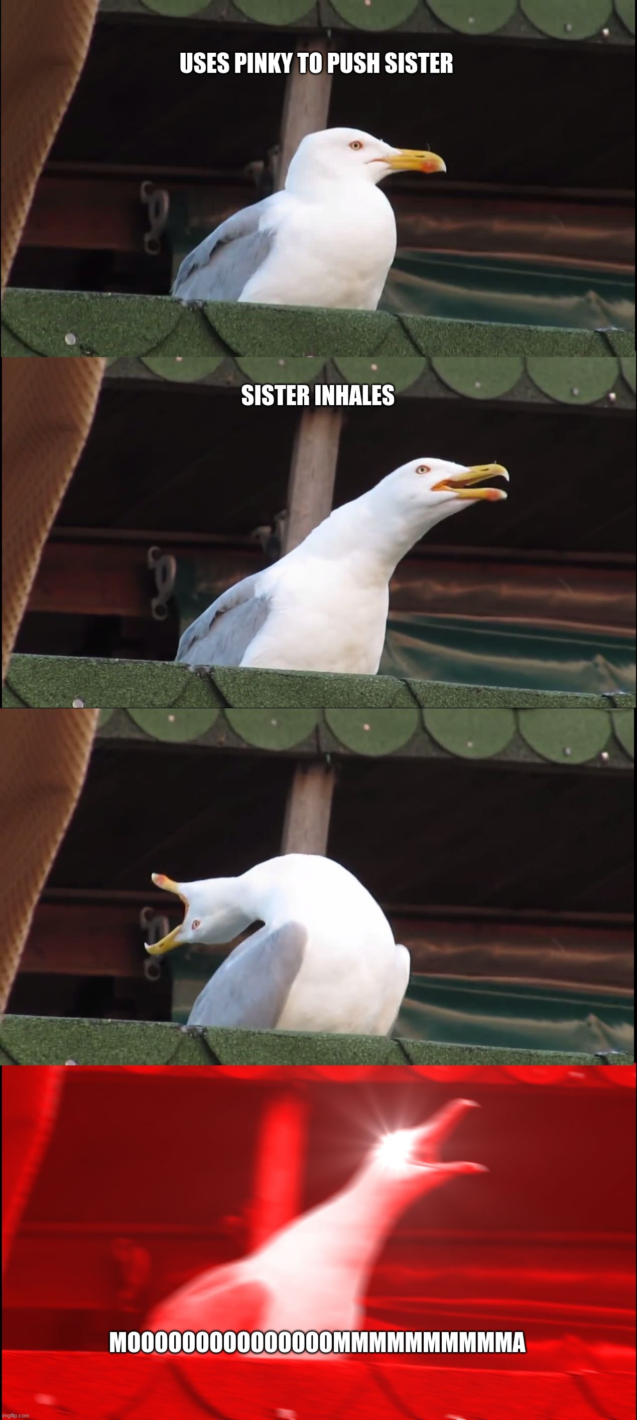 Inhaling Seagull Meme | USES PINKY TO PUSH SISTER; SISTER INHALES; MOOOOOOOOOOOOOOOMMMMMMMMMMA | image tagged in memes,inhaling seagull | made w/ Imgflip meme maker