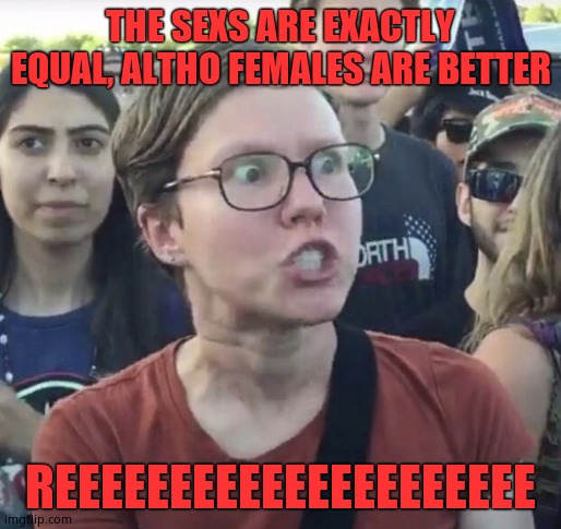 Triggered feminist | THE SEXS ARE EXACTLY EQUAL, ALTHO FEMALES ARE BETTER REEEEEEEEEEEEEEEEEEEEE | image tagged in triggered feminist | made w/ Imgflip meme maker