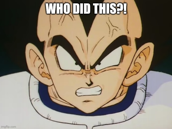 Angry Vegeta (DBZ) | WHO DID THIS?! | image tagged in angry vegeta dbz | made w/ Imgflip meme maker