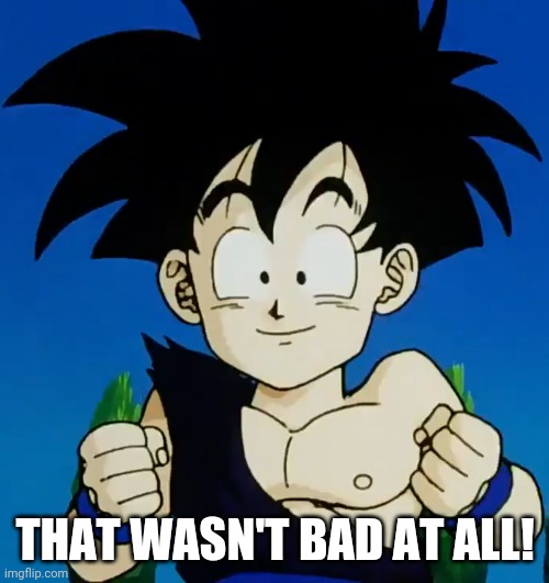 Amused Gohan (DBZ) | THAT WASN'T BAD AT ALL! | image tagged in amused gohan dbz | made w/ Imgflip meme maker
