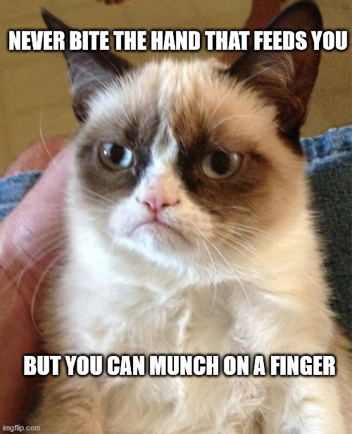 Grumpy Cat | NEVER BITE THE HAND THAT FEEDS YOU; BUT YOU CAN MUNCH ON A FINGER | image tagged in memes,grumpy cat | made w/ Imgflip meme maker