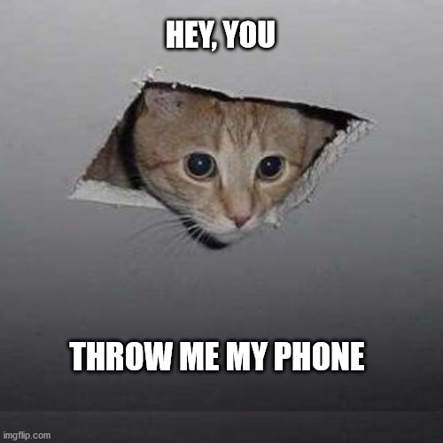 Ceiling Cat | HEY, YOU; THROW ME MY PHONE | image tagged in memes,ceiling cat | made w/ Imgflip meme maker