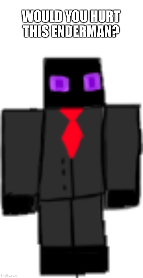 WOULD YOU HURT THIS ENDERMAN? | made w/ Imgflip meme maker