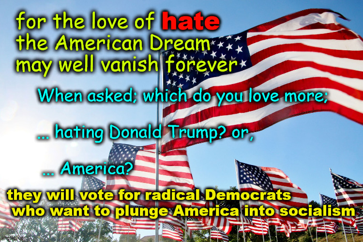 love of hate | hate; for the love of
the American Dream
may well vanish forever; When asked; which do you love more;
 
... hating Donald Trump? or,
 
 ... America? they will vote for radical Democrats
 who want to plunge America into socialism | image tagged in trump haters | made w/ Imgflip meme maker