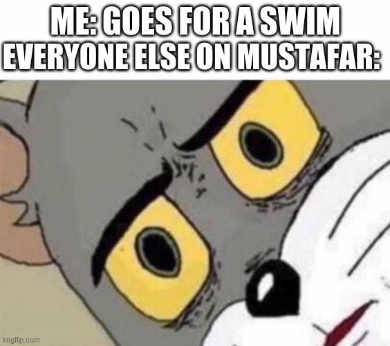 Tom Cat Unsettled Close up | EVERYONE ELSE ON MUSTAFAR:; ME: GOES FOR A SWIM | image tagged in tom cat unsettled close up,star wars,lava | made w/ Imgflip meme maker