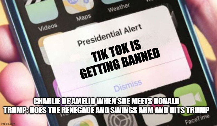 renagade renagade | TIK TOK IS GETTING BANNED; CHARLIE DE'AMELIO WHEN SHE MEETS DONALD TRUMP: DOES THE RENEGADE AND SWINGS ARM AND HITS TRUMP | image tagged in memes,presidential alert | made w/ Imgflip meme maker