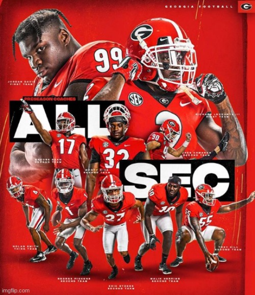 GO DAWGS!!!! | image tagged in memes,georgia bulldogs,football,sec,all sec,you are looking at this year's champions | made w/ Imgflip meme maker
