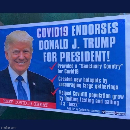 image tagged in trump | made w/ Imgflip meme maker