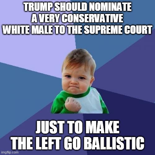 You Won't Want to Miss Their Reactions |  TRUMP SHOULD NOMINATE A VERY CONSERVATIVE WHITE MALE TO THE SUPREME COURT; JUST TO MAKE THE LEFT GO BALLISTIC | image tagged in memes,success kid,trump,supreme court,ruth bader ginsburg,conservative | made w/ Imgflip meme maker