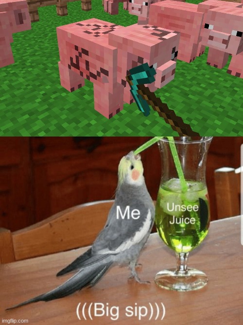 MY EYES | image tagged in unsee juice,minecraft | made w/ Imgflip meme maker