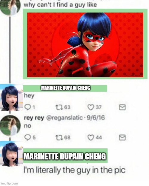 having an alter ego is hard | MARINETTE DUPAIN CHENG; MARINETTE DUPAIN CHENG | image tagged in literally the guy in the pic | made w/ Imgflip meme maker