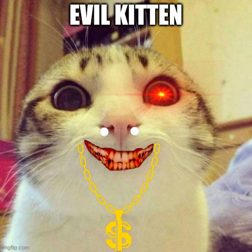 evil kitten meme