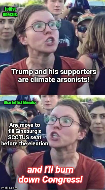 "Caring" Leftists react quickly and predictably to death of Ruth Bader Ginsburg | Leftist liberals;; Trump and his supporters are climate arsonists! Also Leftist liberals;; Any move to fill Ginsburg's SCOTUS seat before the election; and I'll burn down Congress! | image tagged in angry liberal hypocrite,ruth bader ginsburg dies,temper tantrums,threats to burn down congress,violent socialists,leftists | made w/ Imgflip meme maker