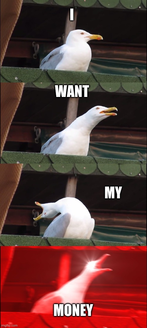 Inhaling Seagull Meme | I; WANT; MY; MONEY | image tagged in memes,inhaling seagull | made w/ Imgflip meme maker