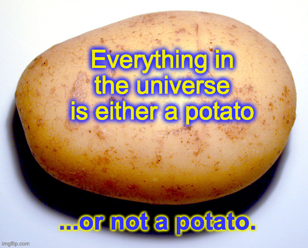 Ceci n'est pas une pomme de terre | Everything in the universe is either a potato; ...or not a potato. | image tagged in potato | made w/ Imgflip meme maker