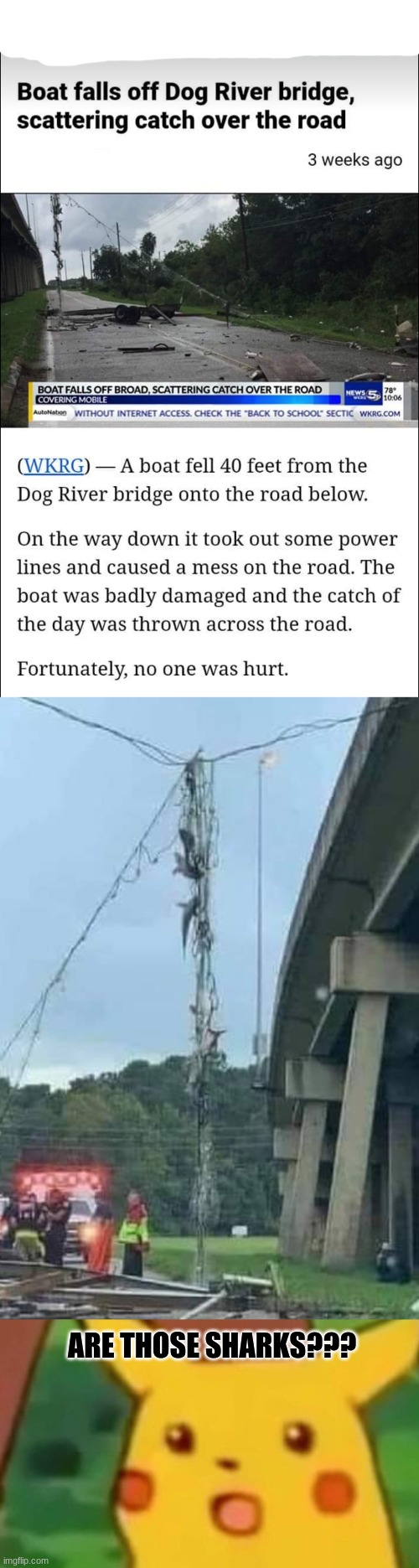 Sharks caught in power lines | ARE THOSE SHARKS??? | image tagged in memes,surprised pikachu,sharks,news headlines,what,how | made w/ Imgflip meme maker