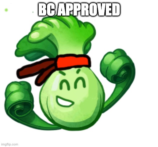 BC APPROVED | made w/ Imgflip meme maker