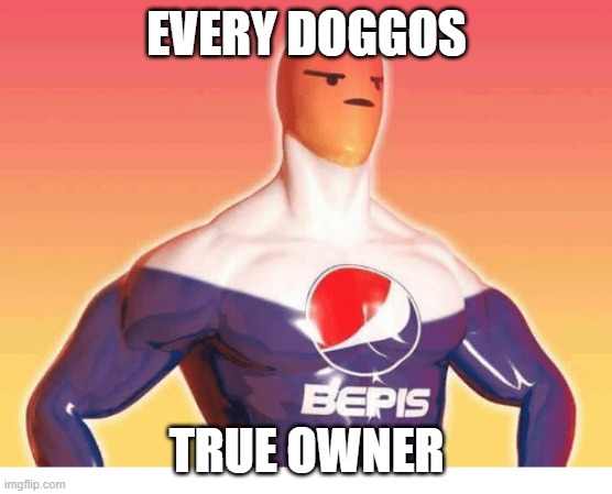 hero | EVERY DOGGOS; TRUE OWNER | image tagged in doggo | made w/ Imgflip meme maker