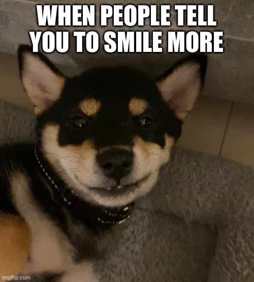 Smile more | WHEN PEOPLE TELL YOU TO SMILE MORE | image tagged in dog,shiba inu,fake smile | made w/ Imgflip meme maker