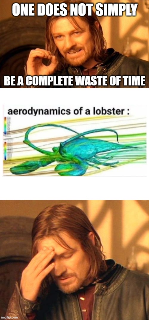 I wanna be a scientist who tediously studies the aerodynamics of various animals! | ONE DOES NOT SIMPLY; BE A COMPLETE WASTE OF TIME | image tagged in boromir frustrated,memes,aerodynamics of a lobster,one does not simply | made w/ Imgflip meme maker