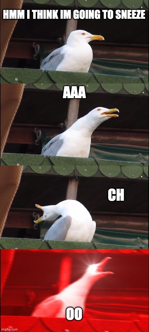 cough | HMM I THINK IM GOING TO SNEEZE; AAA; CH; OO | image tagged in memes,inhaling seagull,bone hurting juice | made w/ Imgflip meme maker