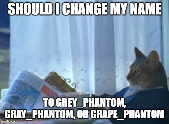 I Should Buy A Boat Cat Meme | SHOULD I CHANGE MY NAME; TO GREY_PHANTOM, GRAY_PHANTOM, OR GRAPE_PHANTOM | image tagged in memes,i should buy a boat cat | made w/ Imgflip meme maker