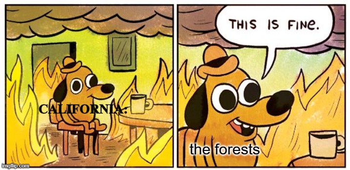 This Is Fine | CALIFORNIA:; the forests | image tagged in memes,this is fine | made w/ Imgflip meme maker