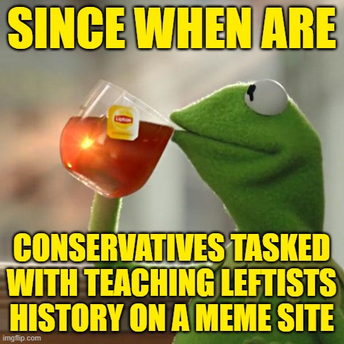 But That's None Of My Business Meme | SINCE WHEN ARE CONSERVATIVES TASKED WITH TEACHING LEFTISTS HISTORY ON A MEME SITE | image tagged in memes,but that's none of my business,kermit the frog | made w/ Imgflip meme maker