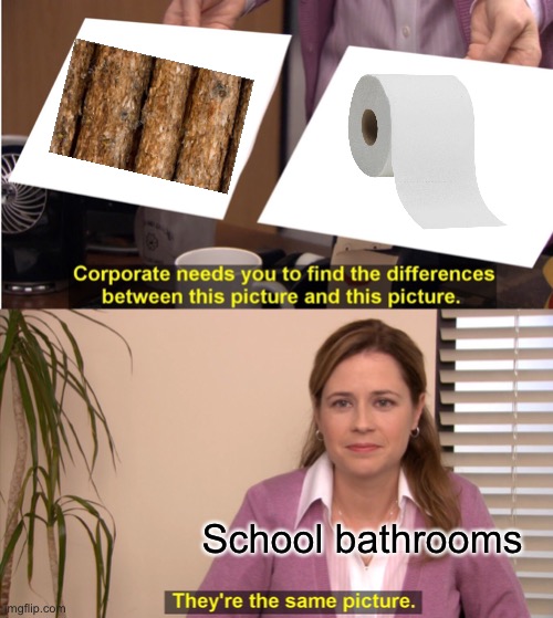 School bathroom be like: | School bathrooms | image tagged in memes,they're the same picture | made w/ Imgflip meme maker