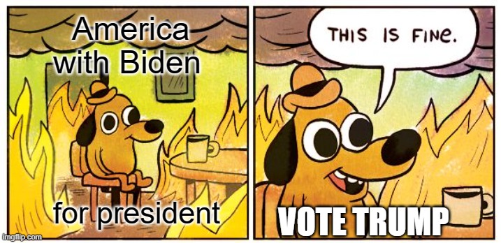 Don't vote for a baby killer | America with Biden; for president; VOTE TRUMP | image tagged in memes,this is fine,donald trump,trump,vote,biden | made w/ Imgflip meme maker