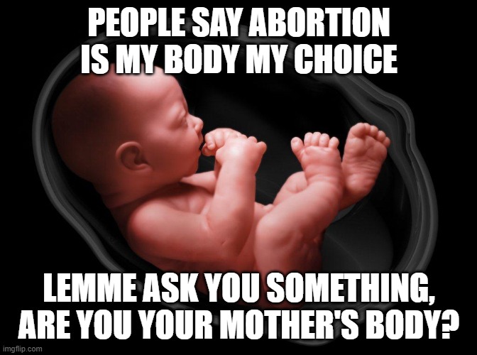 Baby in Womb | PEOPLE SAY ABORTION IS MY BODY MY CHOICE; LEMME ASK YOU SOMETHING, ARE YOU YOUR MOTHER'S BODY? | image tagged in baby in womb,abortion is murder,abortion,mother,body,baby | made w/ Imgflip meme maker