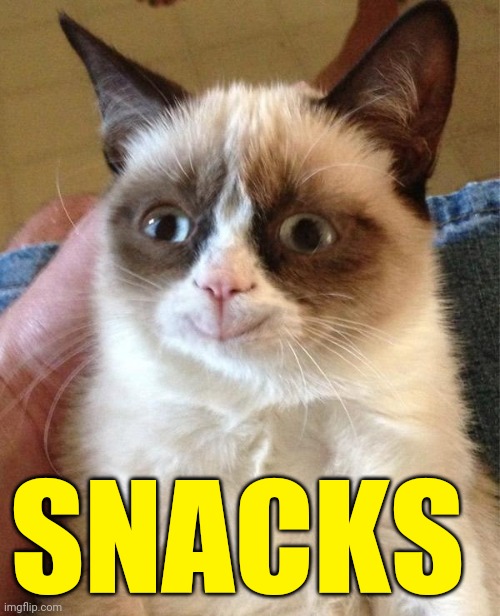 Grumpy Cat Happy Meme | SNACKS | image tagged in memes,grumpy cat happy,grumpy cat | made w/ Imgflip meme maker