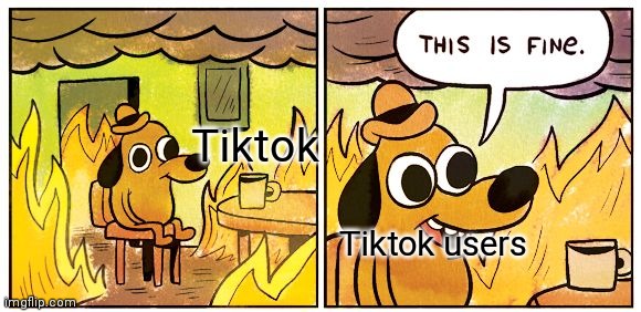 I'm glad it's shutting down | Tiktok; Tiktok users | image tagged in memes,this is fine,tiktok | made w/ Imgflip meme maker