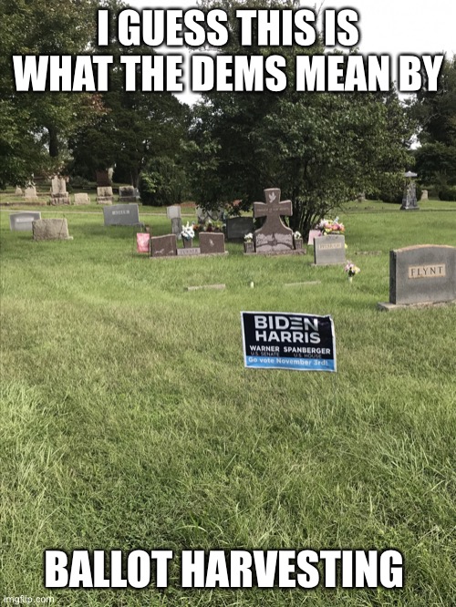 Ballot harvest | I GUESS THIS IS WHAT THE DEMS MEAN BY; BALLOT HARVESTING | image tagged in ballot harvest | made w/ Imgflip meme maker