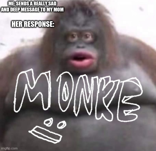 Le Monke | ME: SENDS A REALLY SAD AND DEEP MESSAGE TO MY MOM; HER RESPONSE: | image tagged in le monke | made w/ Imgflip meme maker