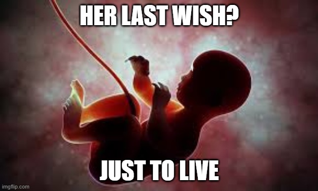  HER LAST WISH? JUST TO LIVE | made w/ Imgflip meme maker