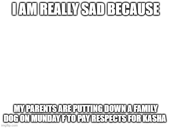 Putting down Kasha | I AM REALLY SAD BECAUSE; MY PARENTS ARE PUTTING DOWN A FAMILY DOG ON MUNDAY F TO PAY RESPECTS FOR KASHA | image tagged in blank white template | made w/ Imgflip meme maker