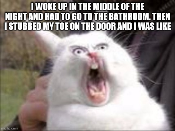 tell me this ain't true tho | I WOKE UP IN THE MIDDLE OF THE NIGHT AND HAD TO GO TO THE BATHROOM. THEN I STUBBED MY TOE ON THE DOOR AND I WAS LIKE | image tagged in hungry rabbit | made w/ Imgflip meme maker