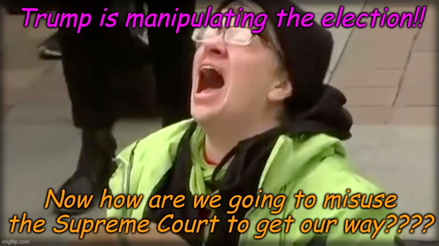 Trump SJW No | Trump is manipulating the election!! Now how are we going to misuse the Supreme Court to get our way???? | image tagged in trump sjw no | made w/ Imgflip meme maker