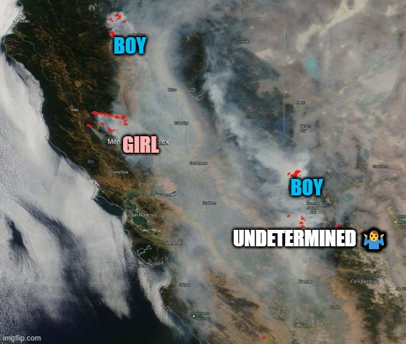 NASA is developing the tech to spot gender reveals from space. | BOY; GIRL; BOY; UNDETERMINED 🤷‍♂️ | image tagged in memes,gender reveal,california,wildfires,smoke | made w/ Imgflip meme maker
