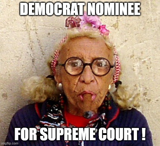 Nominee | DEMOCRAT NOMINEE; FOR SUPREME COURT ! | image tagged in democrats | made w/ Imgflip meme maker