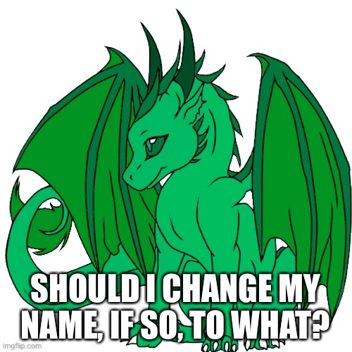 SHOULD I CHANGE MY NAME, IF SO, TO WHAT? | made w/ Imgflip meme maker