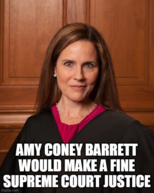 AMY CONEY BARRETT WOULD MAKE A FINE SUPREME COURT JUSTICE | made w/ Imgflip meme maker