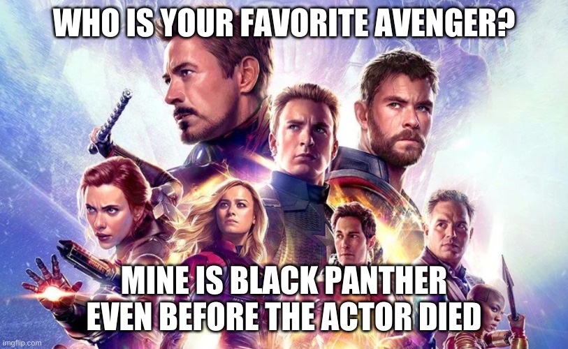 Who is your favorite avenger? | WHO IS YOUR FAVORITE AVENGER? MINE IS BLACK PANTHER EVEN BEFORE THE ACTOR DIED | made w/ Imgflip meme maker
