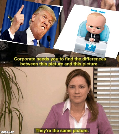 They’re the same thing | image tagged in memes,they're the same picture,boss baby,trump | made w/ Imgflip meme maker