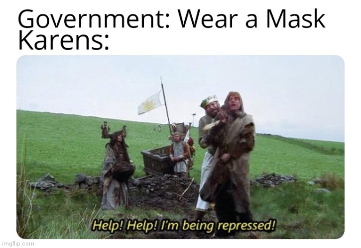 Monty Python Meme | image tagged in monty python,monty python and the holy grail | made w/ Imgflip meme maker