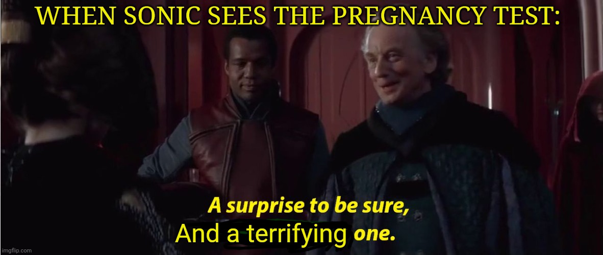 A suprise to be sure, but a welcome one | WHEN SONIC SEES THE PREGNANCY TEST: And a terrifying | image tagged in a suprise to be sure but a welcome one | made w/ Imgflip meme maker
