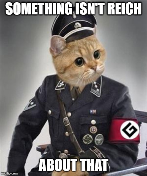 Grammar Nazi Cat | SOMETHING ISN'T REICH; ABOUT THAT | image tagged in grammar nazi cat,cats,funny,memes,puns,cat meme | made w/ Imgflip meme maker